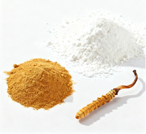 Cordyceps Militaris